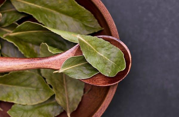 SISI LOLA BAY LEAVES