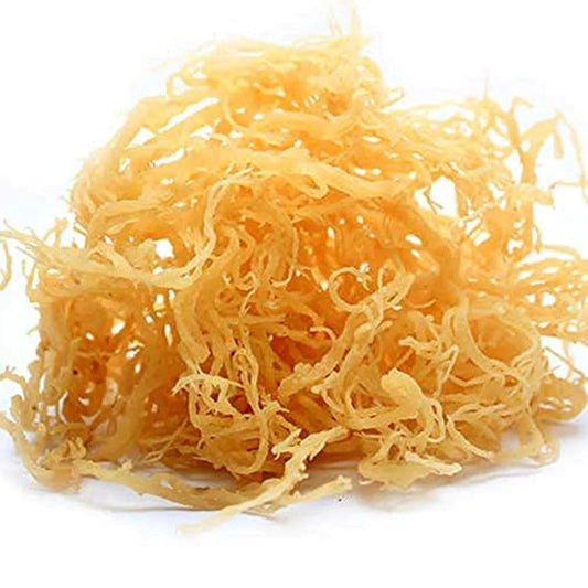 SISI LOLA SEA MOSS RAW