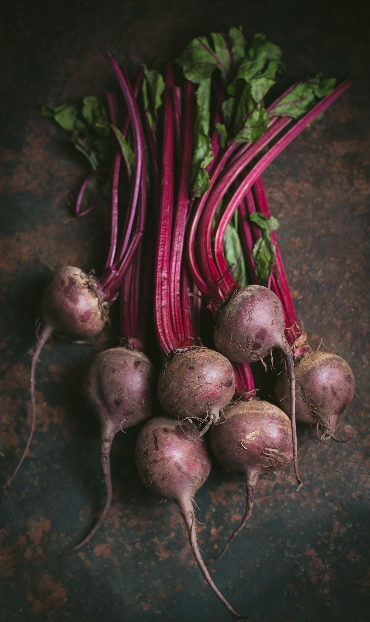 Sisi Lola Beet Root ground