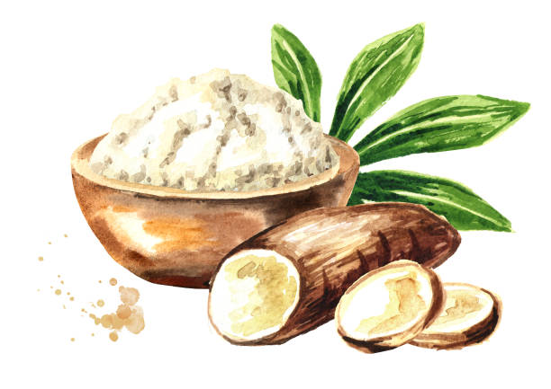 Sisi Lola Arrowroot Ground