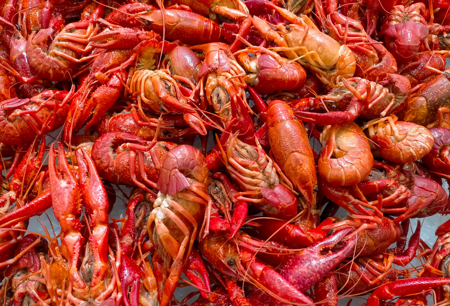 SISI LOLA CRAWFISH BOIL SEASONING