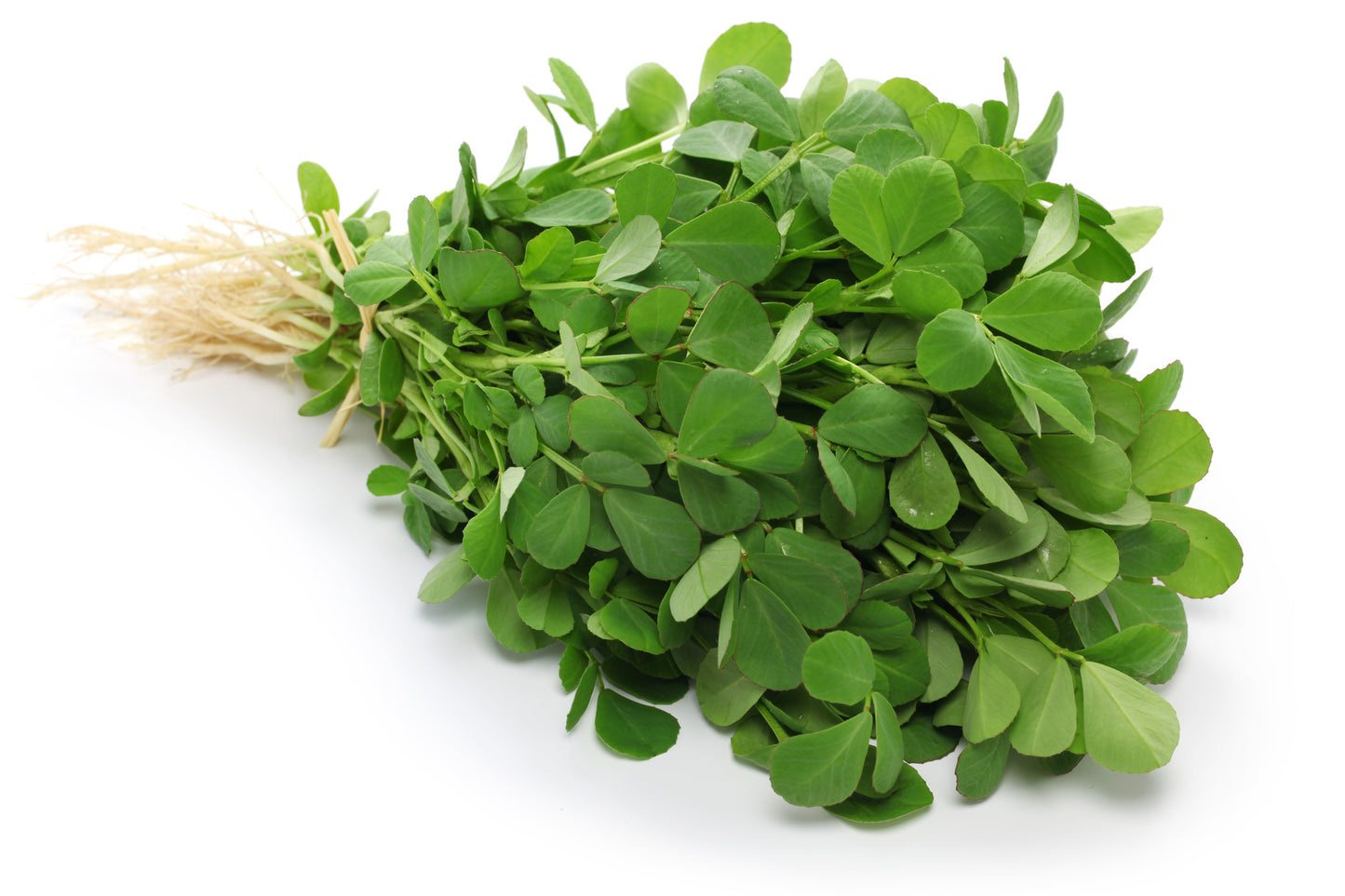 Sisi Lola Fenugreek Seeds
