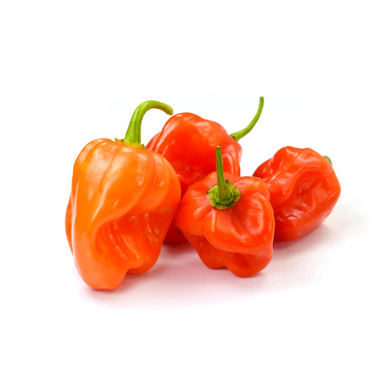 Fresh Habanero Peppers - Organic Habanero | Garden Market Atlanta