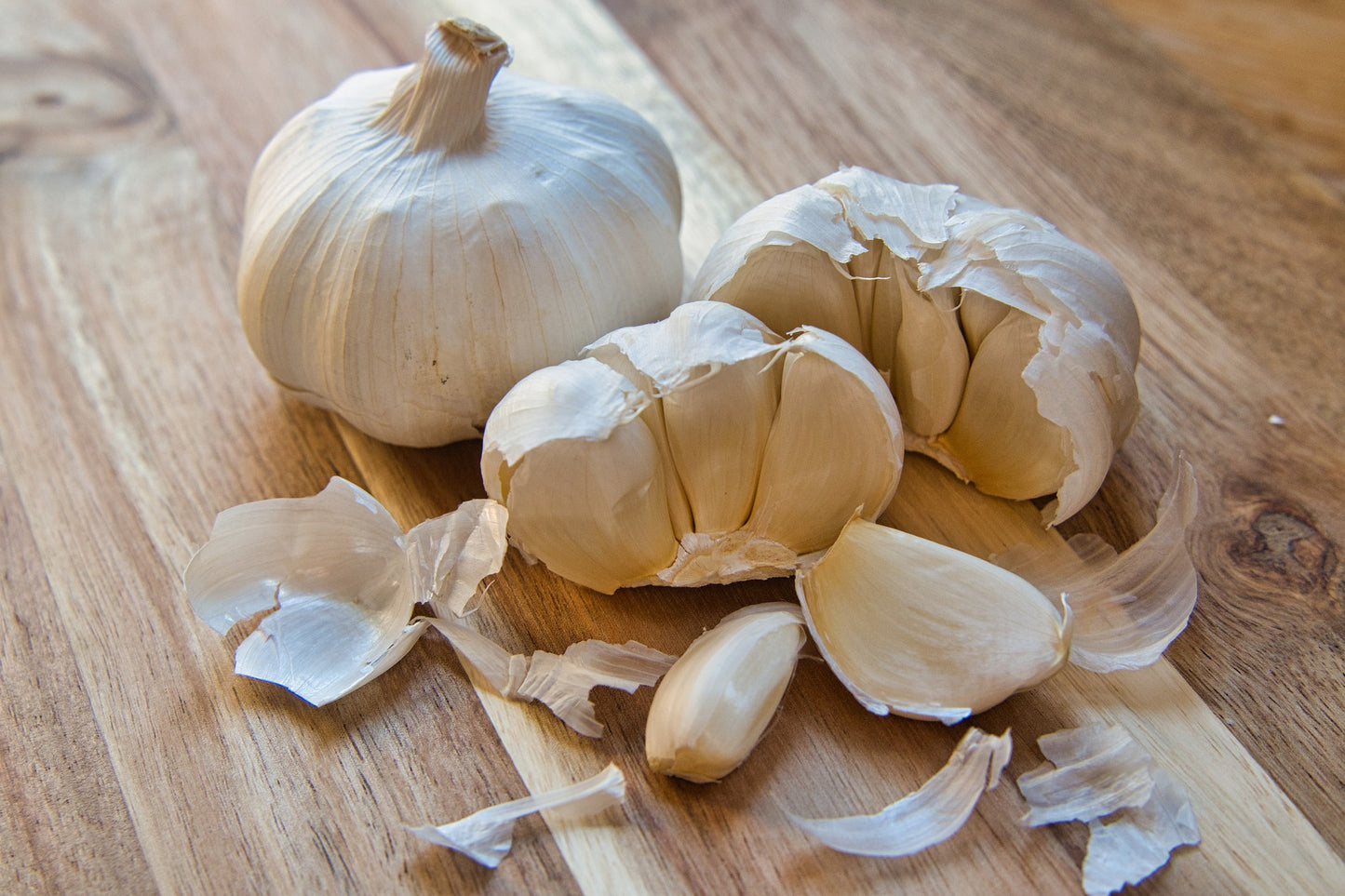 SISI LOLA GARLIC POWDER