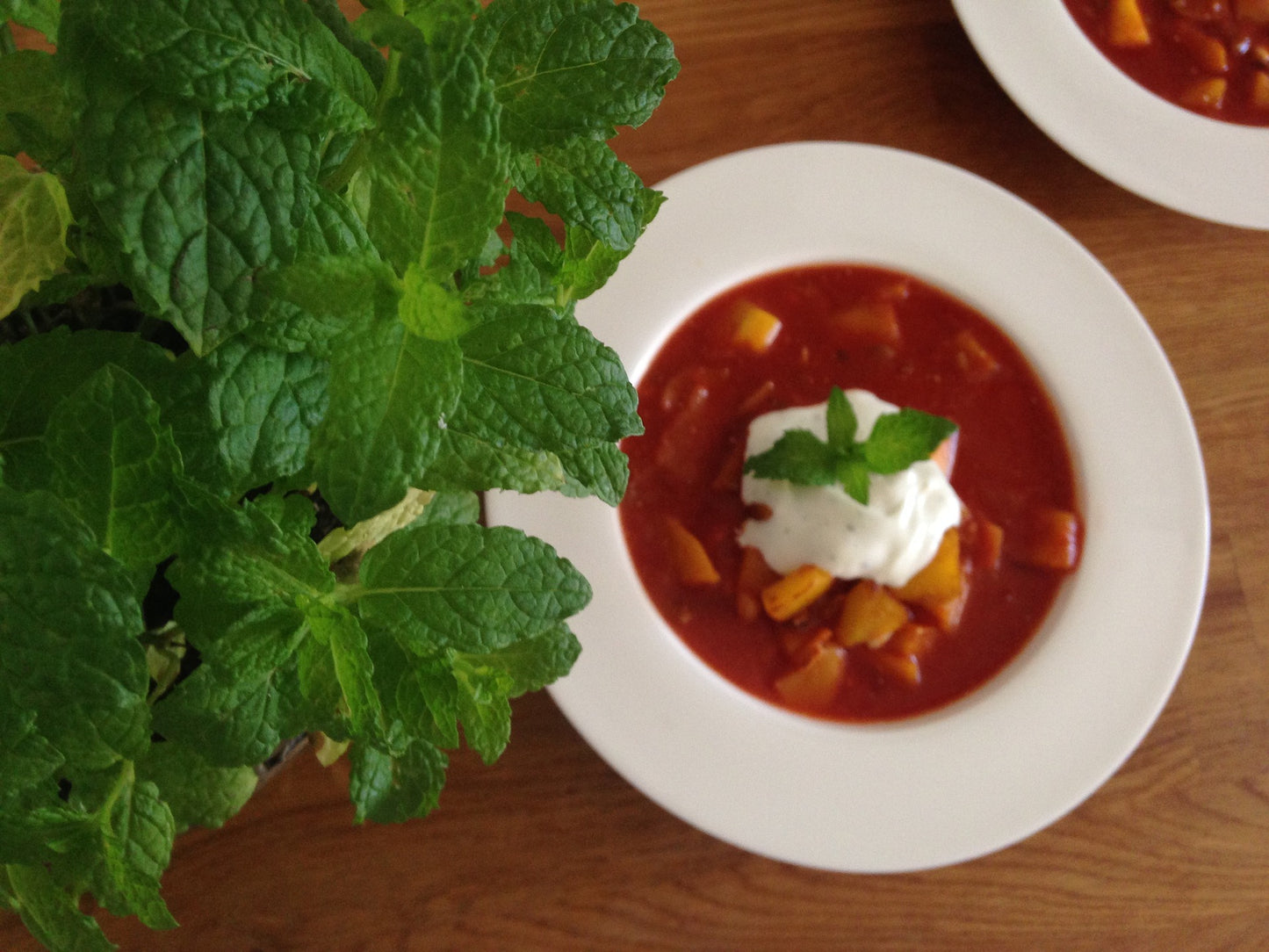 SISI LOLA TOMATO SOUP & BROTH MIX