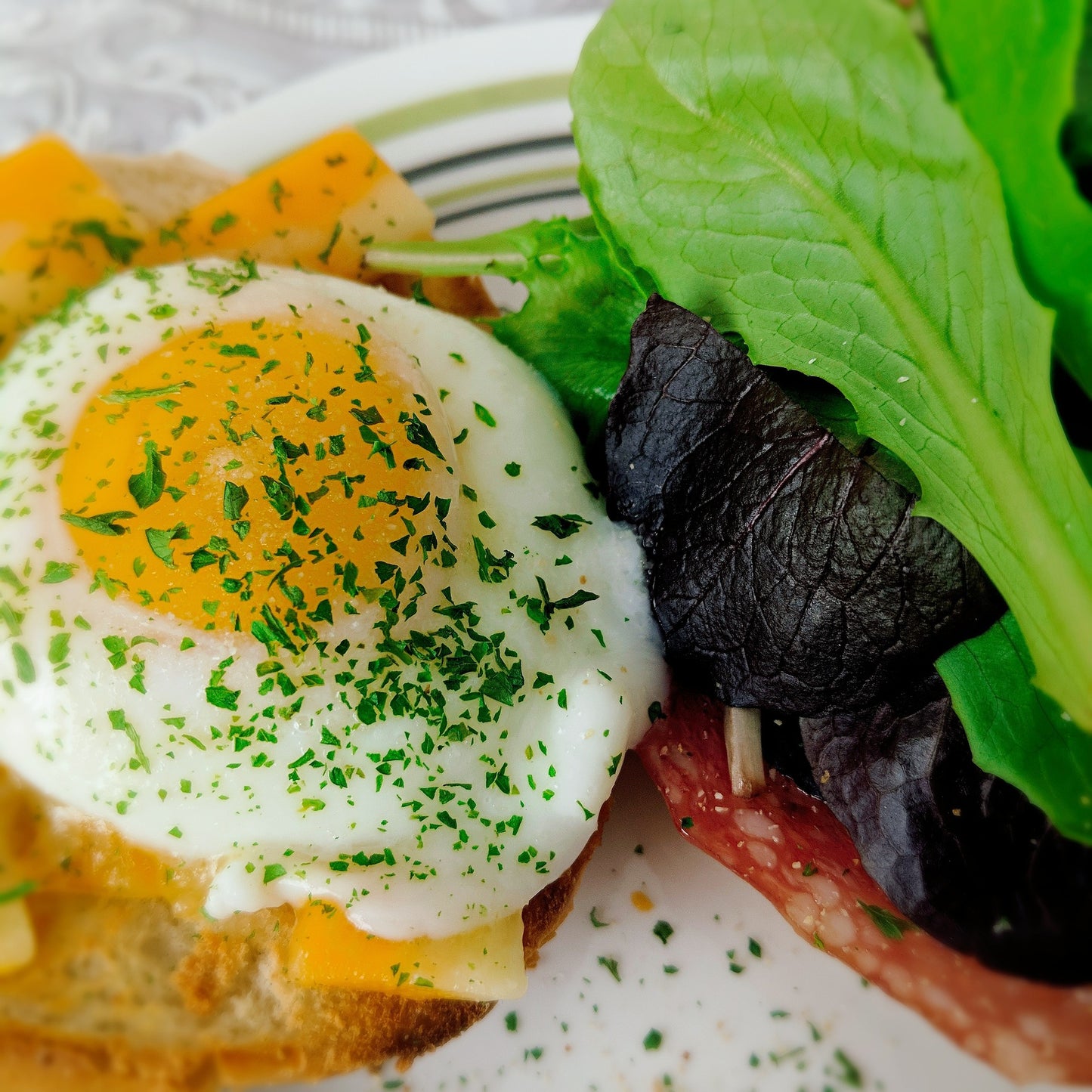 Sisi Lola PERFECT BAGEL