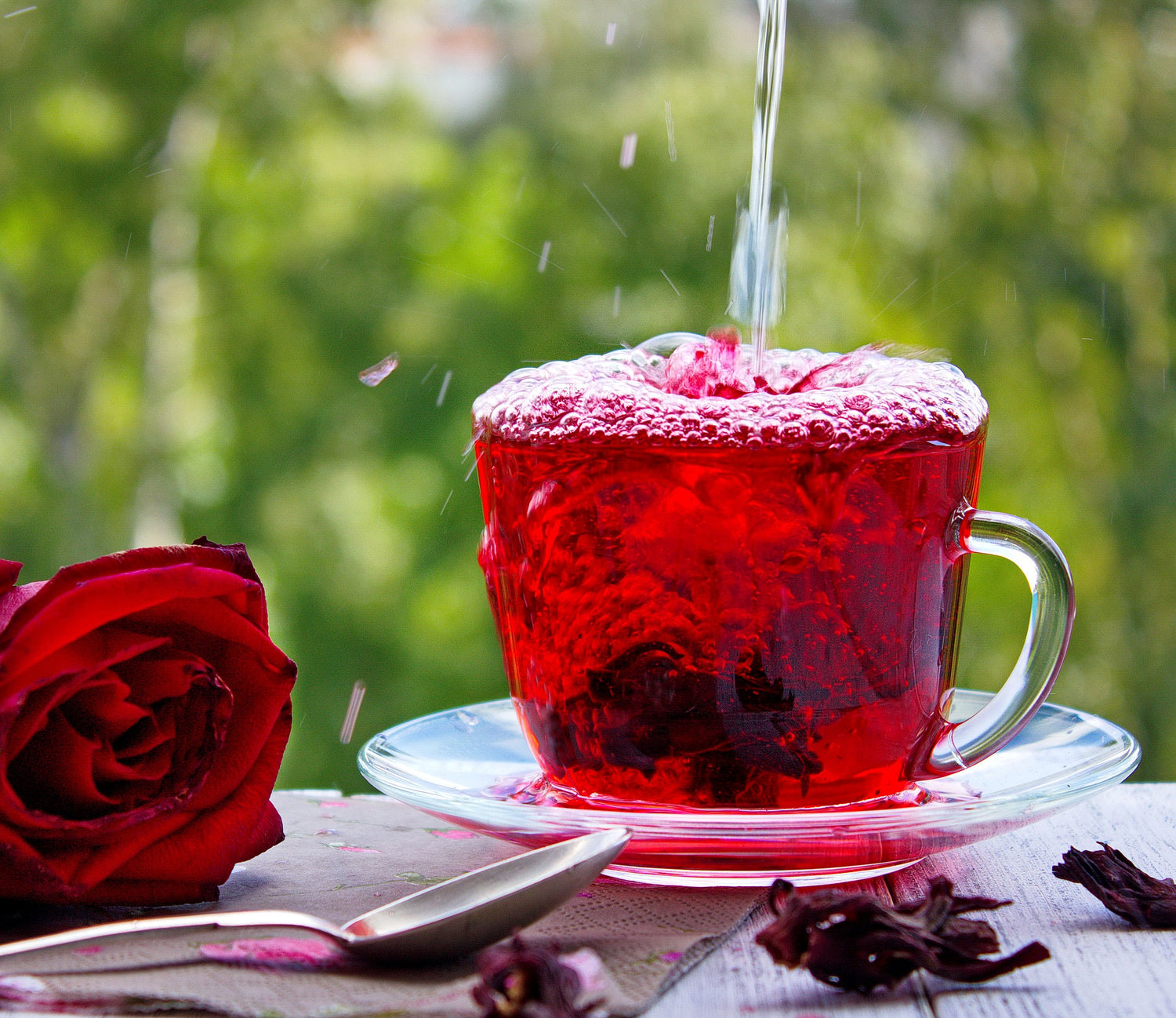 Hibiscus Ginger Drink - Ginger Drink | Garden Market Atlanta