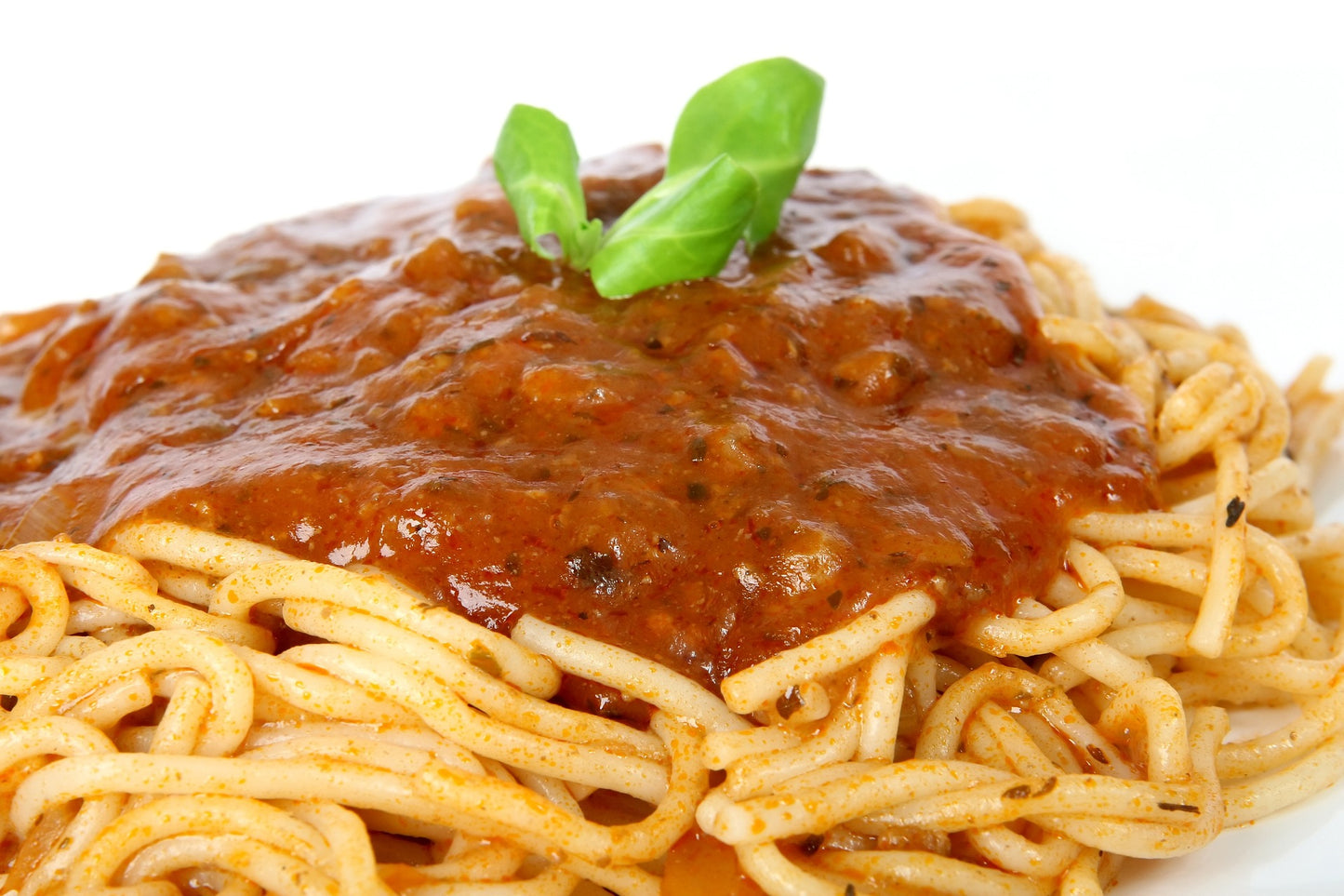 SISI LOLA OREGANO