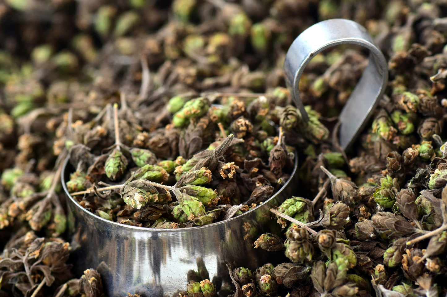 SISI LOLA OREGANO OLIVE OIL