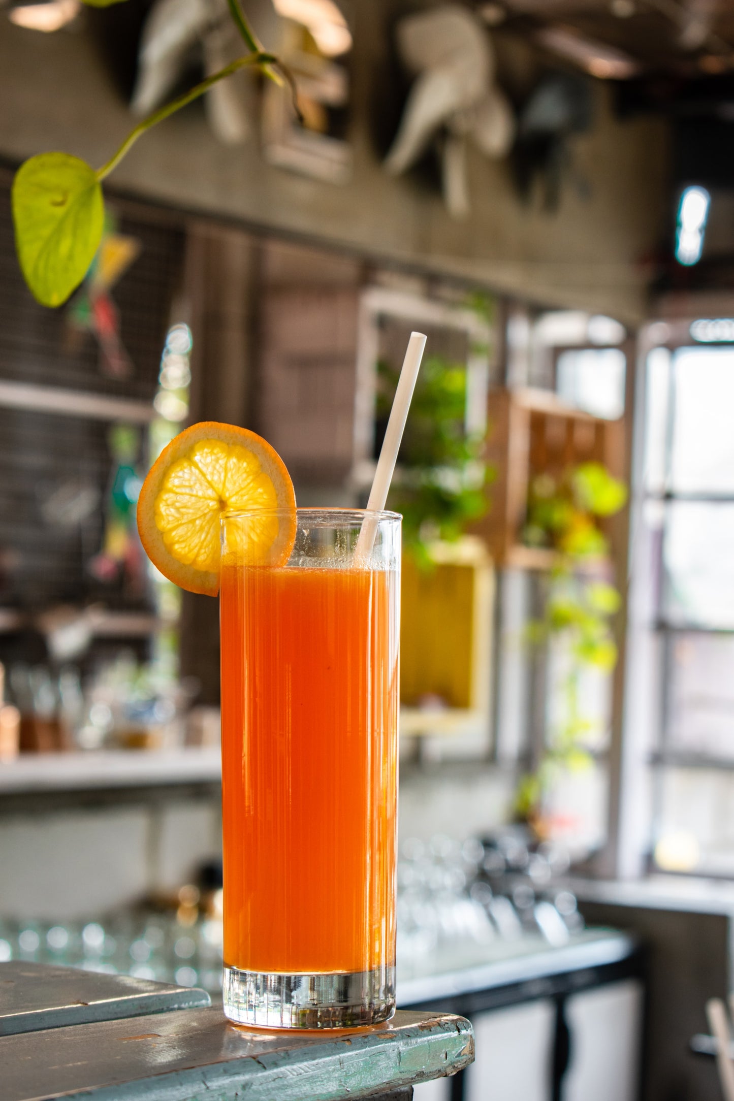 Fresh Turmeric Juice - Turmeric Juice | Garden Market Atlanta
