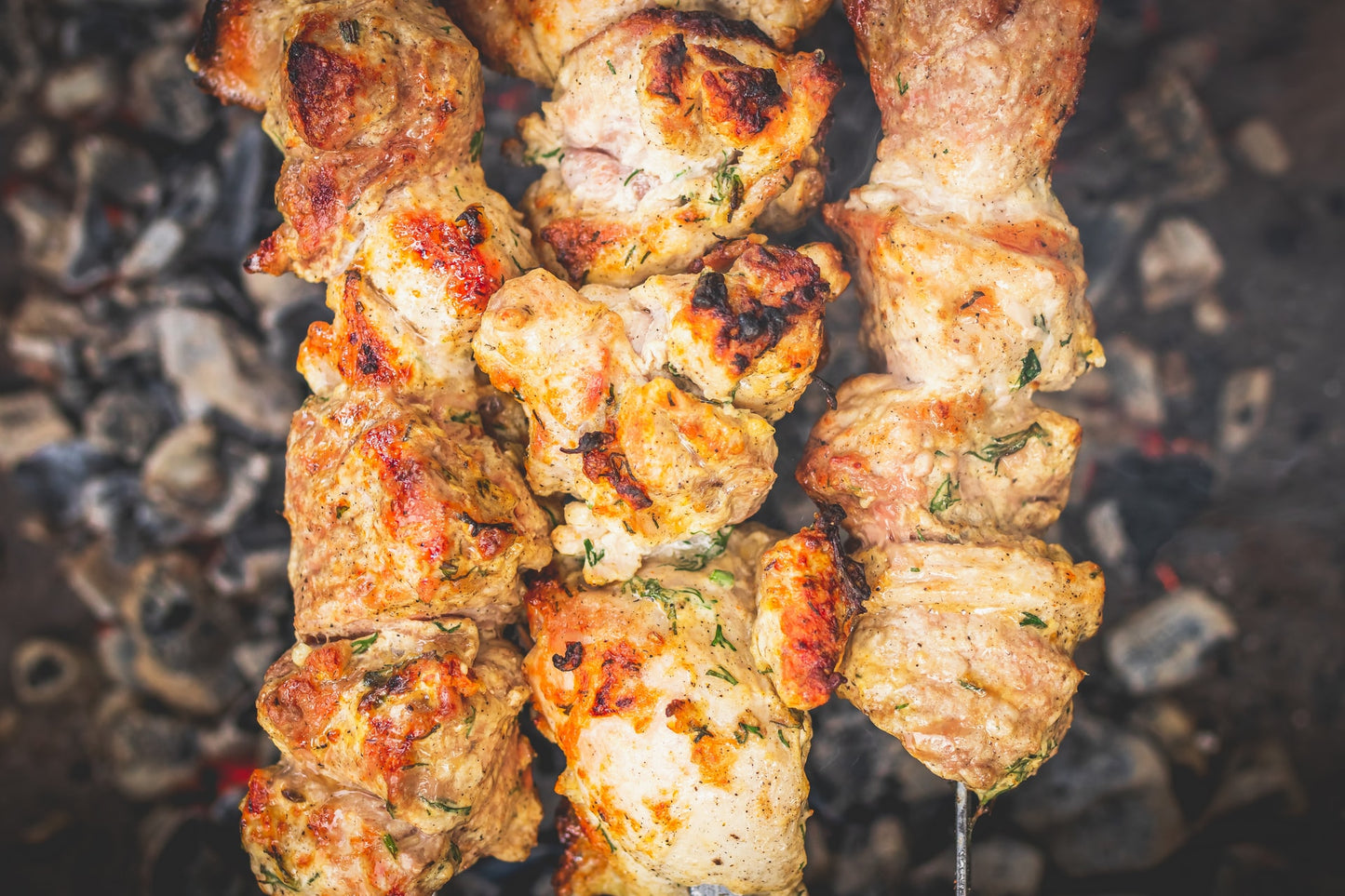SISI LOLA TOASTED GARLIC & SPICY HERBS