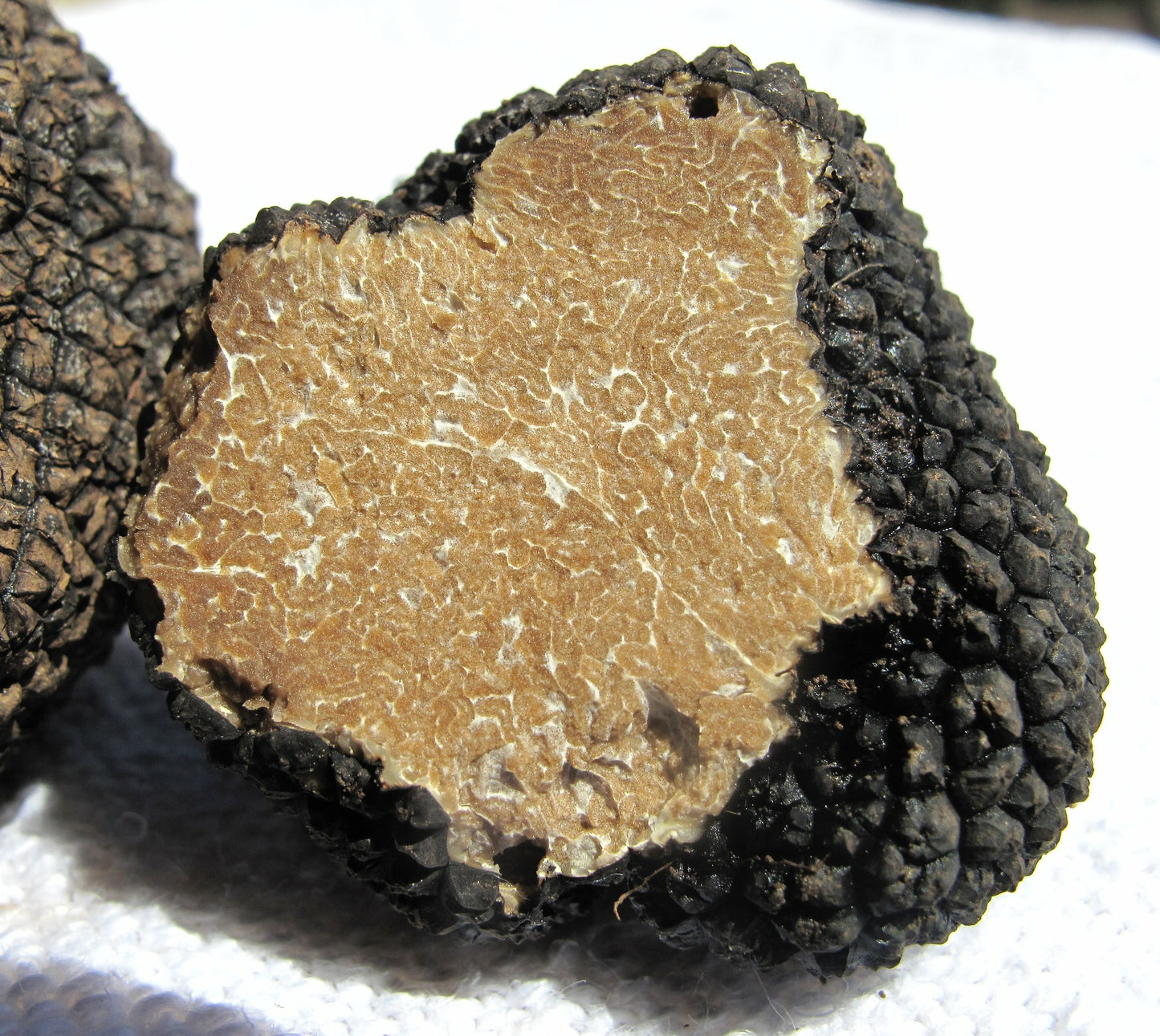 SISI LOLA TRUFFLE OLIVE OIL