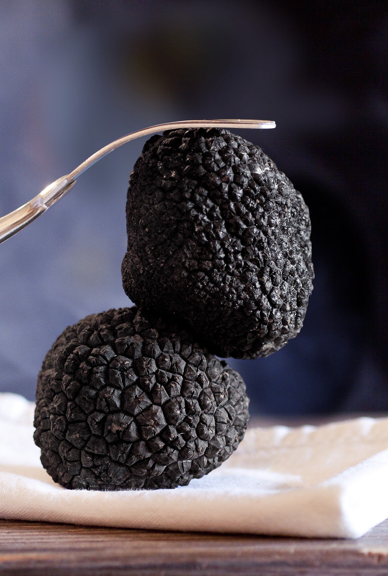 SISI LOLA TRUFFLE OLIVE OIL
