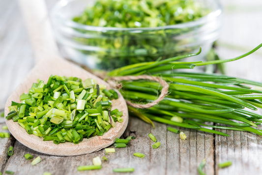 Sisi Lola Chives
