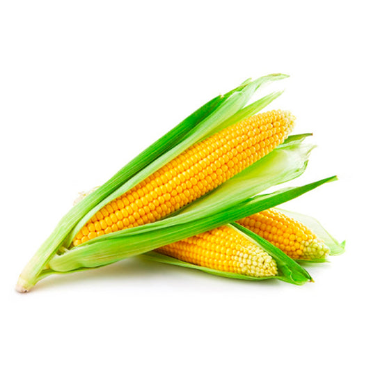 Organic Corn 1 LB