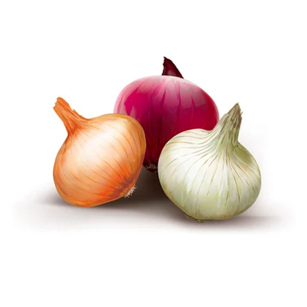 Organic onions- purple, white , yellow