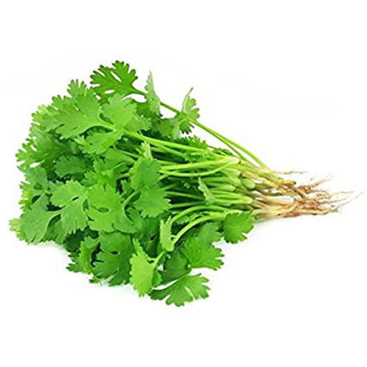 Fresh Cilantro Leaves - Cilantro 30 Ct | Garden Market Atlanta