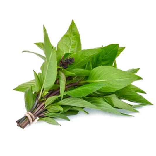 ORGANIC THAI BASIL 1LB