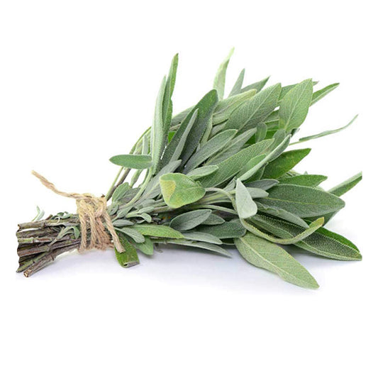 ORGANIC SAGE 1 LB