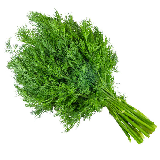 Buy Organic Dill Weed Organic Dill Weed