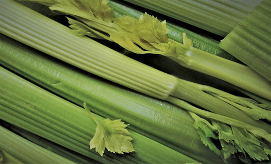 SISI LOLA CELERY SEED