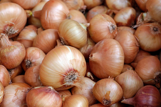 SISI LOLA ONION GRANULATED