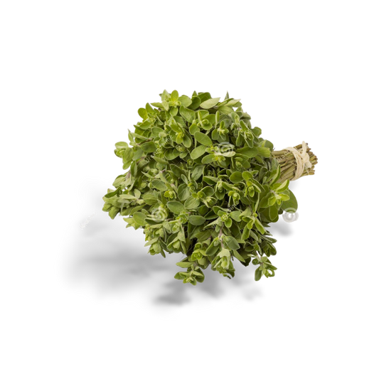 Organic Oregano Leaves | Garden Market Atlanta
