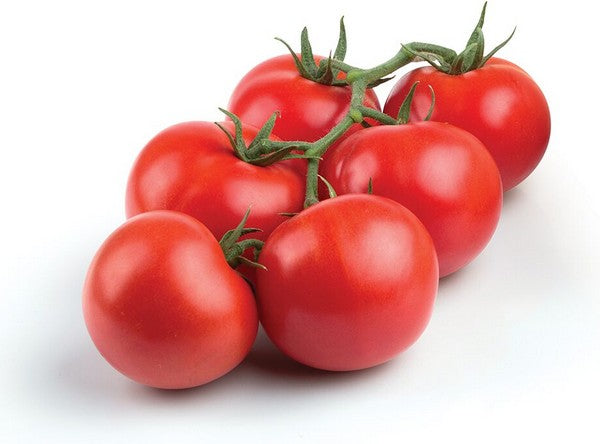 Organic Tomatoes 10oz bag