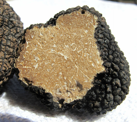 SISI LOLA TRUFFLE OLIVE OIL
